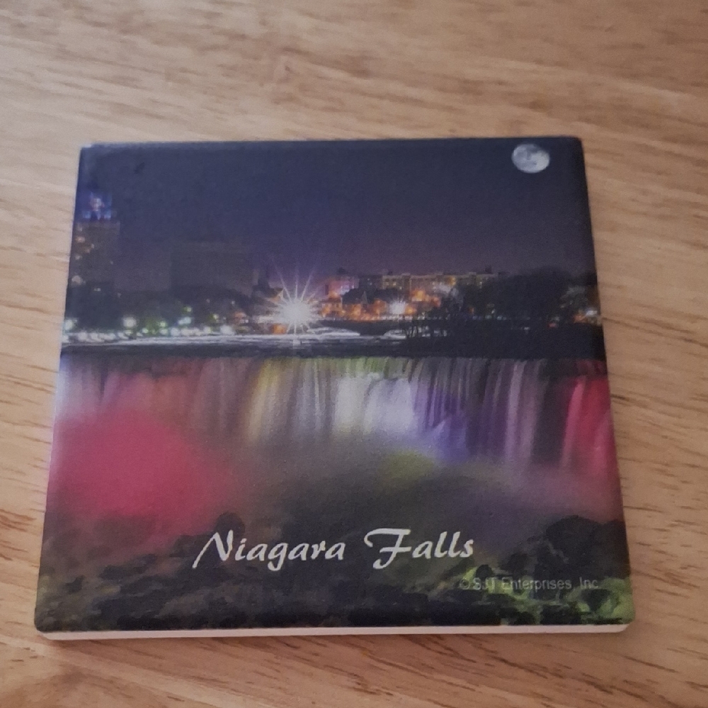 Niagara Falls Night View Coaster